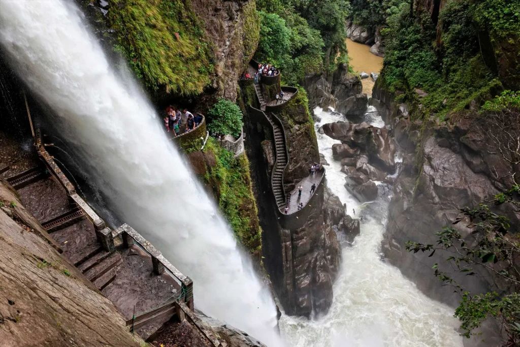 amaznia7D 6N. 3_1 1024x683 1